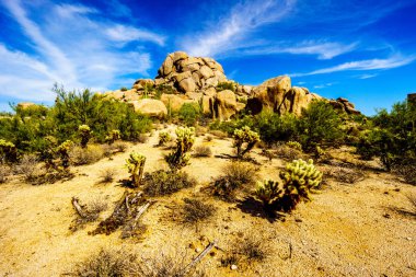 Cholla ve Saguaro kaktüs kaygısız Arizona yakınlarında çölde kayalar, çöl, yatay