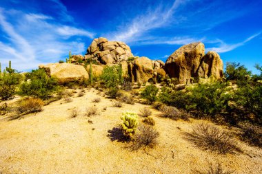 Cholla ve Saguaro kaktüs kaygısız Arizona yakınlarında çölde kayalar, çöl, yatay