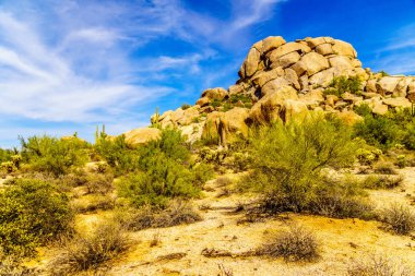 Cholla ve Saguaro kaktüs kaygısız Arizona yakınlarında çölde kayalar, çöl, yatay
