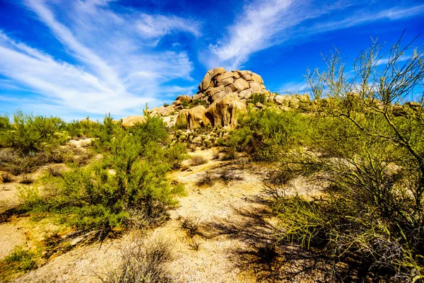 Ökenlandskap med Cholla och Saguaro kaktusar på stenblocken i öknen nära sorglös Arizona — Stockfoto