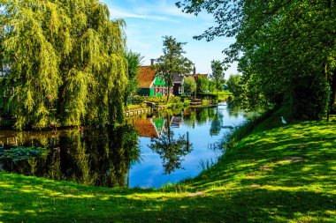 Kanal içinde tarihi köy, Zaanse Schans'a Hollanda evleri geleneksel yansıtan