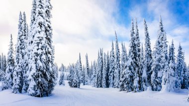 Kış manzara Sun Peaks Kayak Merkezi Bc, Kanada içinde eteklerinde