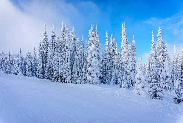 Paisaje invernal en las pistas de la estación de esquí Sun Peaks en BC, Canadá — Foto de Stock