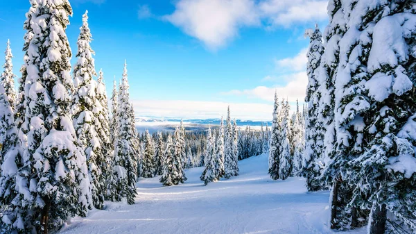 Paisaje invernal en las pistas de la estación de esquí Sun Peaks en BC, Canadá — Foto de Stock