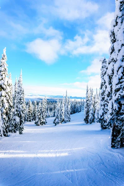 Зимовий пейзаж на схилах НД вершини гірськолижного курорту в Британській Колумбії, Канада — стокове фото