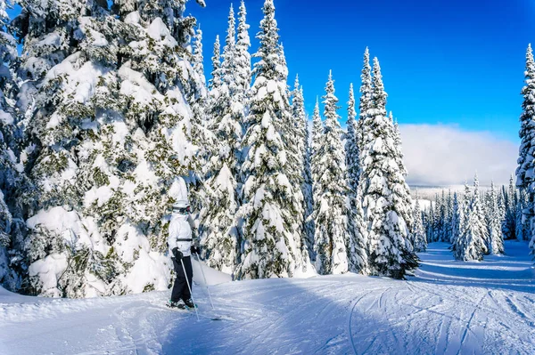 Paisaje invernal en las pistas de la estación de esquí Sun Peaks en BC, Canadá — Foto de Stock