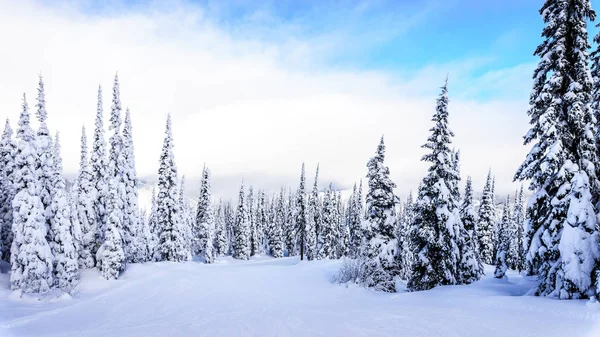 Vista de las numerosas pistas de esquí de Sun Peaks Ski Resort en British Columbia, Canadá — Foto de Stock