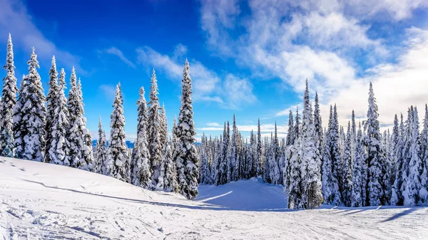 Paisaje invernal de la zona forestal de Sun Peaks Ski Resort en Columbia Británica, Canadá — Foto de Stock