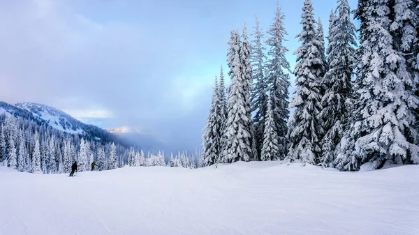 브리티시 컬럼비아, 캐나다에에서 선 봉우리 스키장의 숲 지역의 겨울 풍경 — 스톡 사진