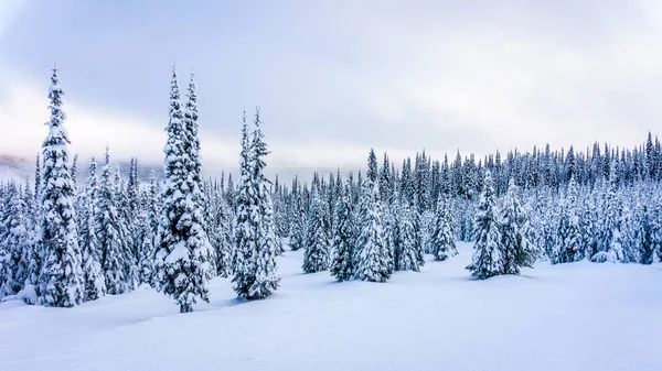 Paisaje invernal de la zona forestal de Sun Peaks Ski Resort en Columbia Británica, Canadá —  Fotos de Stock
