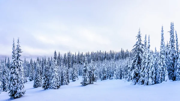 Vista panorámica de parte del pueblo alpino de Sun Peaks Ski Resort en Columbia Británica, Canadá —  Fotos de Stock