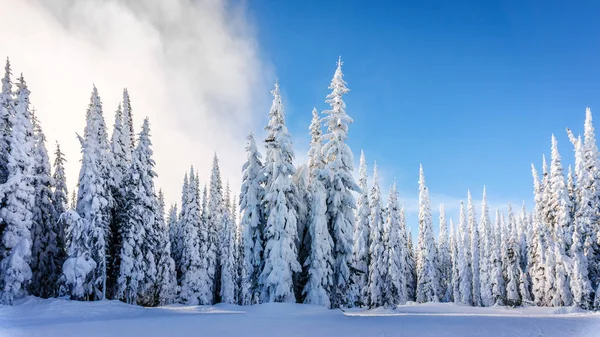 Escena de invierno vista en las pistas de esquí de Sun Peaks Ski Resort en Columbia Británica, Canadá — Foto de Stock