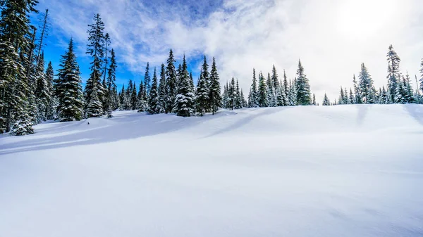 Vista panorámica de parte del pueblo alpino de Sun Peaks Ski Resort en Columbia Británica, Canadá — Foto de Stock