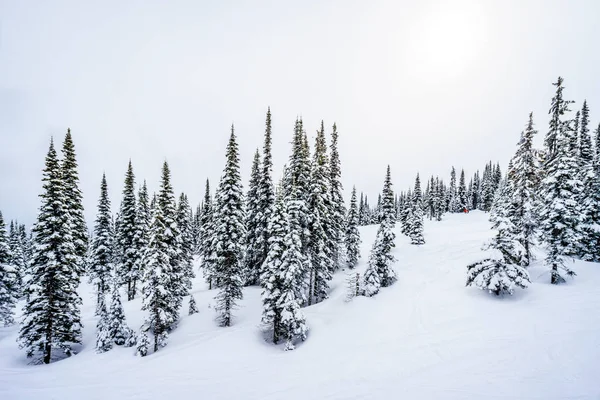 Vista panorámica de parte del pueblo alpino de Sun Peaks Ski Resort en Columbia Británica, Canadá — Foto de Stock