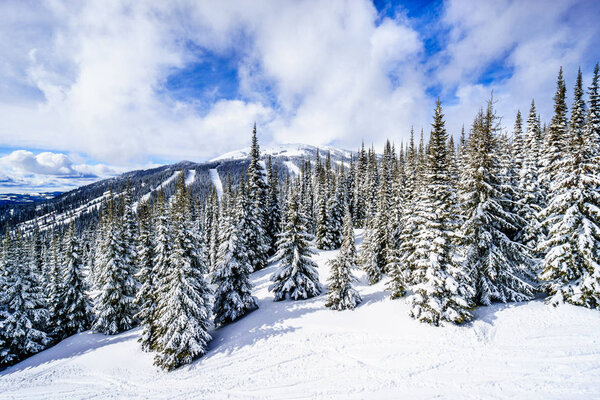 Scenic view of part of the Alpine Village of Sun Peaks Ski Resort in British Columbia, Canada