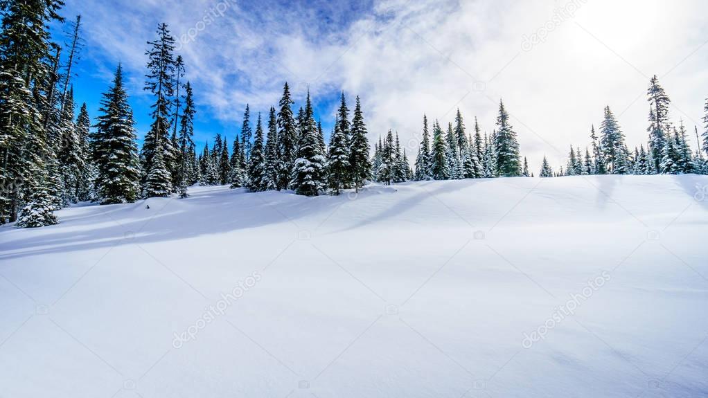 Scenic view of part of the Alpine Village of Sun Peaks Ski Resort in British Columbia, Canada