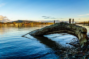Günbatımı Weathered ağaç kütüğü ile Fraser River ve günlük Bomlar nehir aşağı bağlamak için ahşap kazık