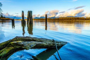 Günbatımı Brae Adası'nda Fort Langley British Columbia, Kanada içinde tarihi kent ve Fraser Nehri üzerine. Ağaç kütüğü ve günlük Bomlar Fraser nehir aşağı bağlamak için ahşap kazık yıpranmış