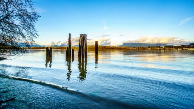 Günbatımı Fraser Nehri ile ön planda ahşap kazıklara günlük Bomlar Fraser nehir aşağı bağlamak için kullanılır