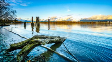 Günbatımı Weathered ağaç kütüğü ile Fraser River ve günlük Bomlar nehir aşağı bağlamak için ahşap kazık