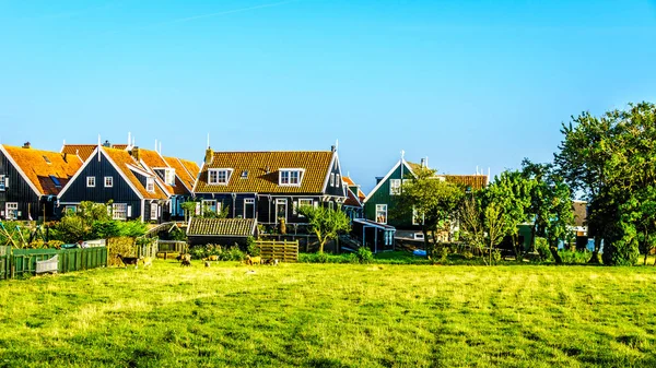 Marken ve Urk Hollanda gibi bazı küçük balıkçı köyleri toplayan — Stok fotoğraf