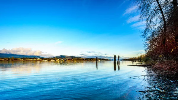 A Sunday afternoon at Brea Island and Bedford Channel of the Fraser River near Fort Langley — Stock Photo, Image