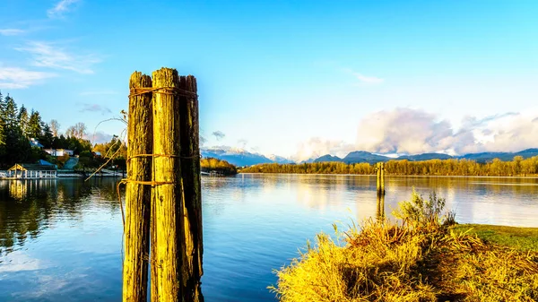 Západ slunce nad řekou Fraser poblíž Fort Langley uprostřed zimy — Stock fotografie