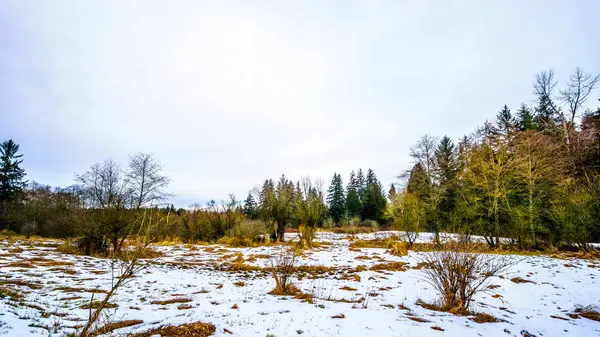 Paisaje invernal en Campbell Valley Park en Langley, Columbia Británica, Canadá — Foto de Stock