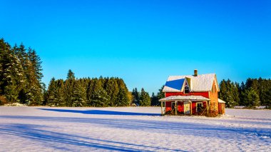 Campbell Valley Park Langley British Columbia, Kanada içinde ağaç ağaç kütüğü 