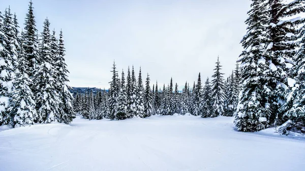 Campo de juego cubierto de nieve en el Valle Fraser de Columbia Británica, Canadá —  Fotos de Stock