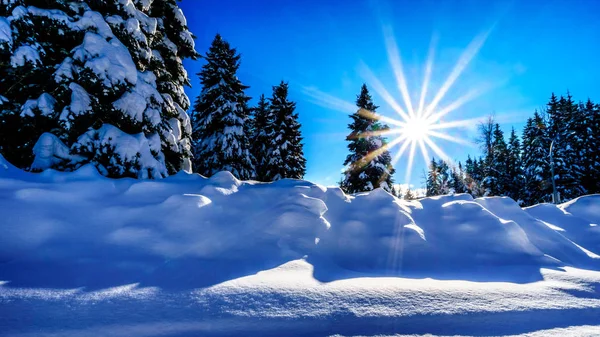 Faible ensoleillement hivernal intérieur de la Colombie-Britannique, Canada — Photo