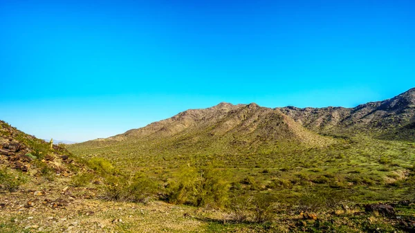 Sivatagi táj és a sivatag ország Dél-hegy Park kívül Maricopa County, Arizona, Phoenix — Stock Fotó