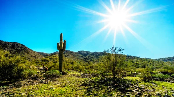 Sun rays shining over the Desert country at South Mountain Park outside Phoenix in Maricopa County, Arizona — Stock Photo, Image