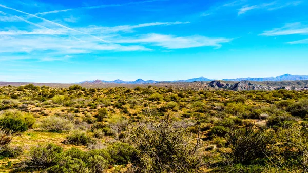 Paisaje del desierto a lo largo de la represa Bartlett Road en Tonto National Forest cerca de Phoenix Arizona —  Fotos de Stock