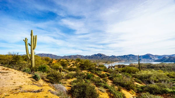 Lake Bartlett area in Tonto National Forest near Phoenix Arizona — Stock Photo, Image