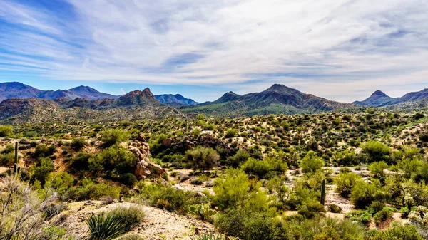 Cordilleras cerca del lago Bartlett en el bosque nacional de Tonto cerca de Phoenix Arizona —  Fotos de Stock