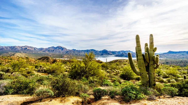 Lake Bartlett area and the surrounding mountains in Tonto National Forest, Phoenix Arizona — Stock Photo, Image