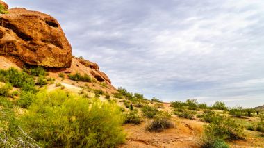 Tempe, Arizona, Amerika Birleşik Devletleri şehrinde papago Parkı