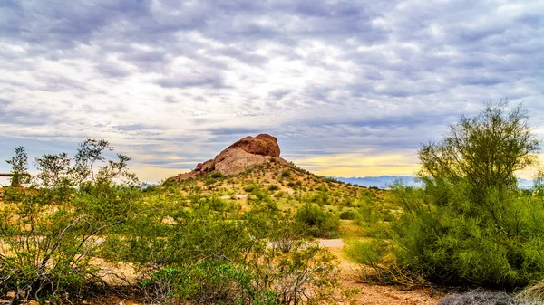 Papago Park, Phoenix in Arizona, United States of America — Stock Photo, Image