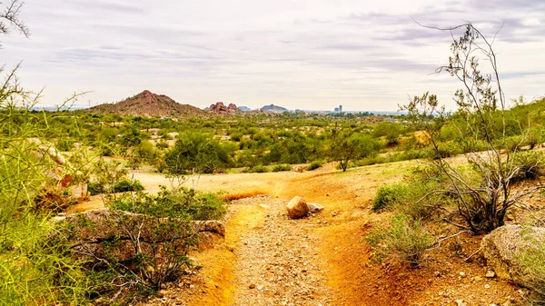 Papago Park i staden Tempe, Arizona i Amerikas förenta stater — Stockfoto