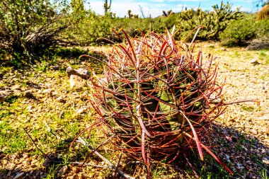 Phoenix, Arizona'da Maricopa County yakınındaki Stewardlara dağda Windy mağara