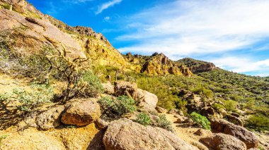 Arizona Çölü Tonto Ulusal ormanında Stewardlara dağda