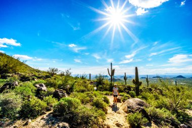 Stewardlara Dağ Bölge Parkı, Arizona güneş ve Phoenix şehri Vadisi ile