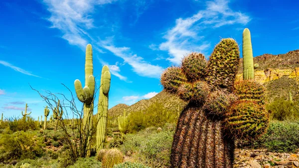 The Windy Cave on Usery Mountain near Phoenix, in Maricopa County, Arizona — Stock Photo, Image