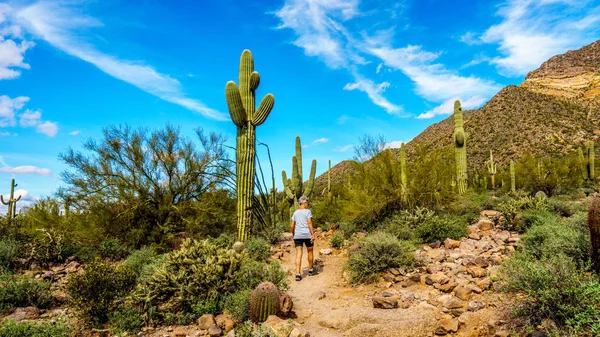 Jaskinia Wiatrów w Usery Mountain w Tonto National Forest w pobliżu Phoenix Arizona — Zdjęcie stockowe