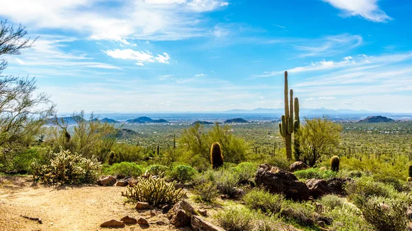 Usery Mountain in Arizona, USA — Stock Photo, Image