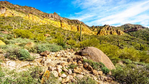 Hora UživateleY, musí v Tonto National Forest v arizonské poušti — Stock fotografie