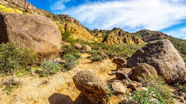 Montaña Usery en el Bosque Nacional Tonto en el desierto de Arizona —  Fotos de Stock