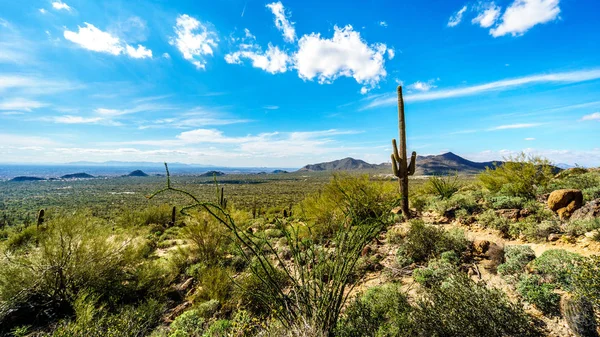 Valley of the Sun with the city of Phoenix  of Usery Mountain in Arizona, USA — Stock Photo, Image