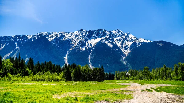 Mount Currie outside Pemberton seen from the Duffy Lake Road in southern British Columbia — Stock Photo, Image